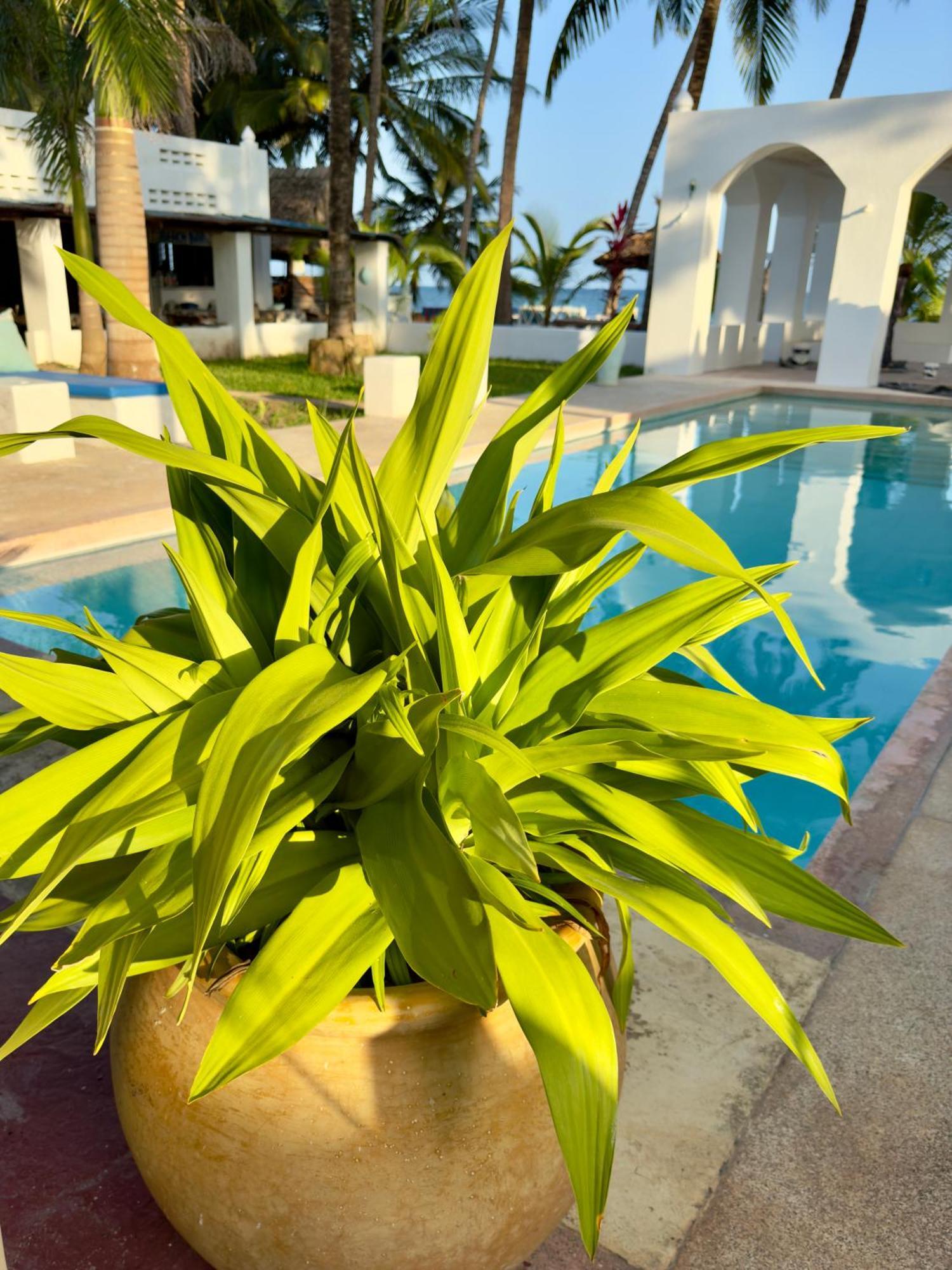 Sawa Sawa Beach House Msambweni Luaran gambar