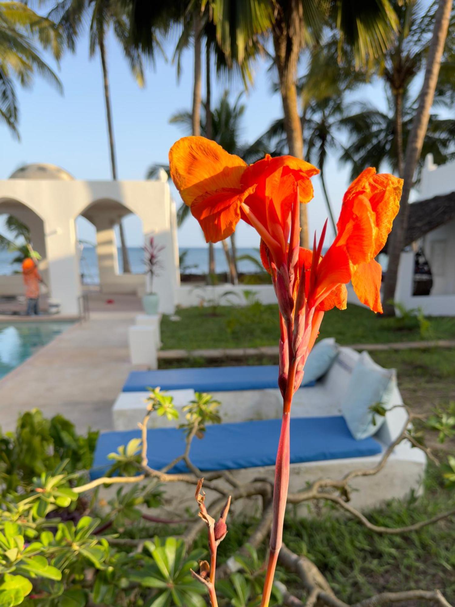 Sawa Sawa Beach House Msambweni Luaran gambar
