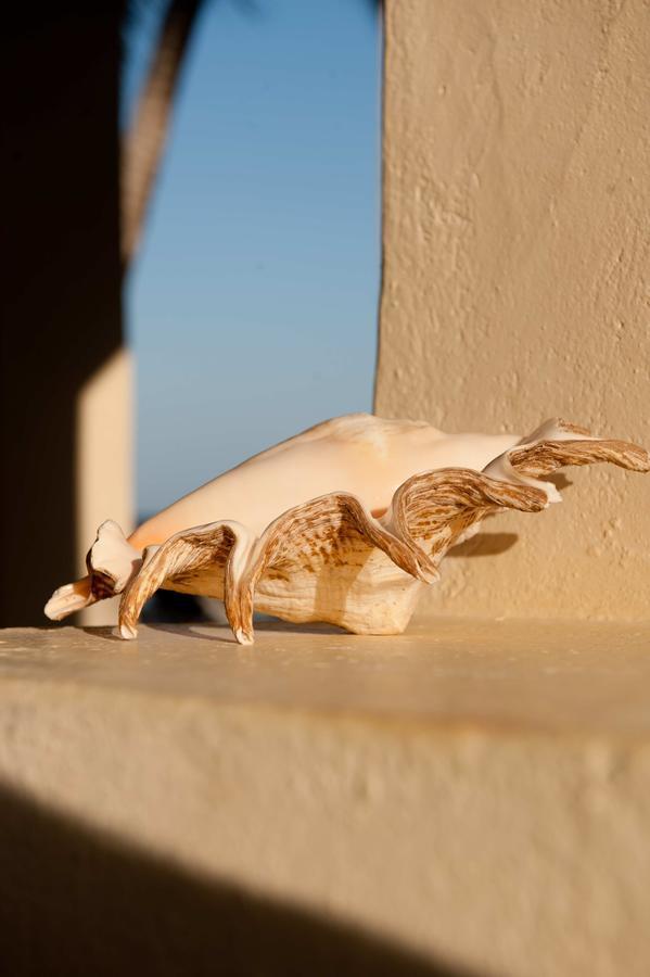 Sawa Sawa Beach House Msambweni Luaran gambar